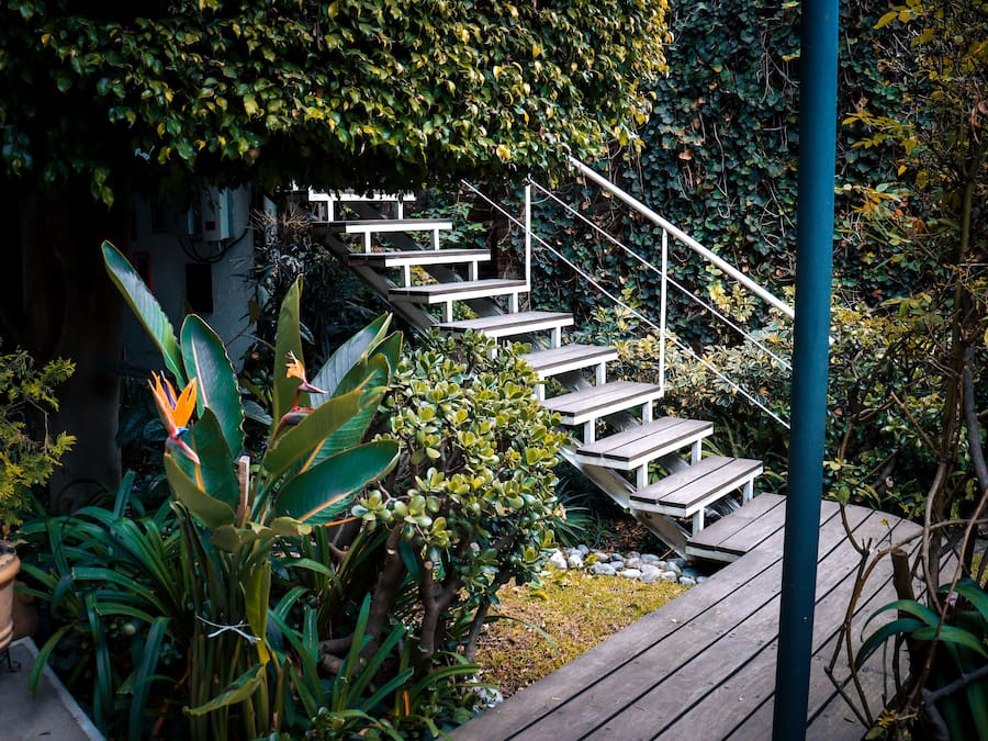 Jardim