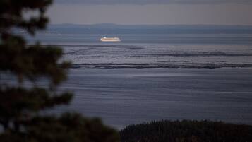 Un crucero navega en aguas tranquilas, con una costa boscosa al fondo.