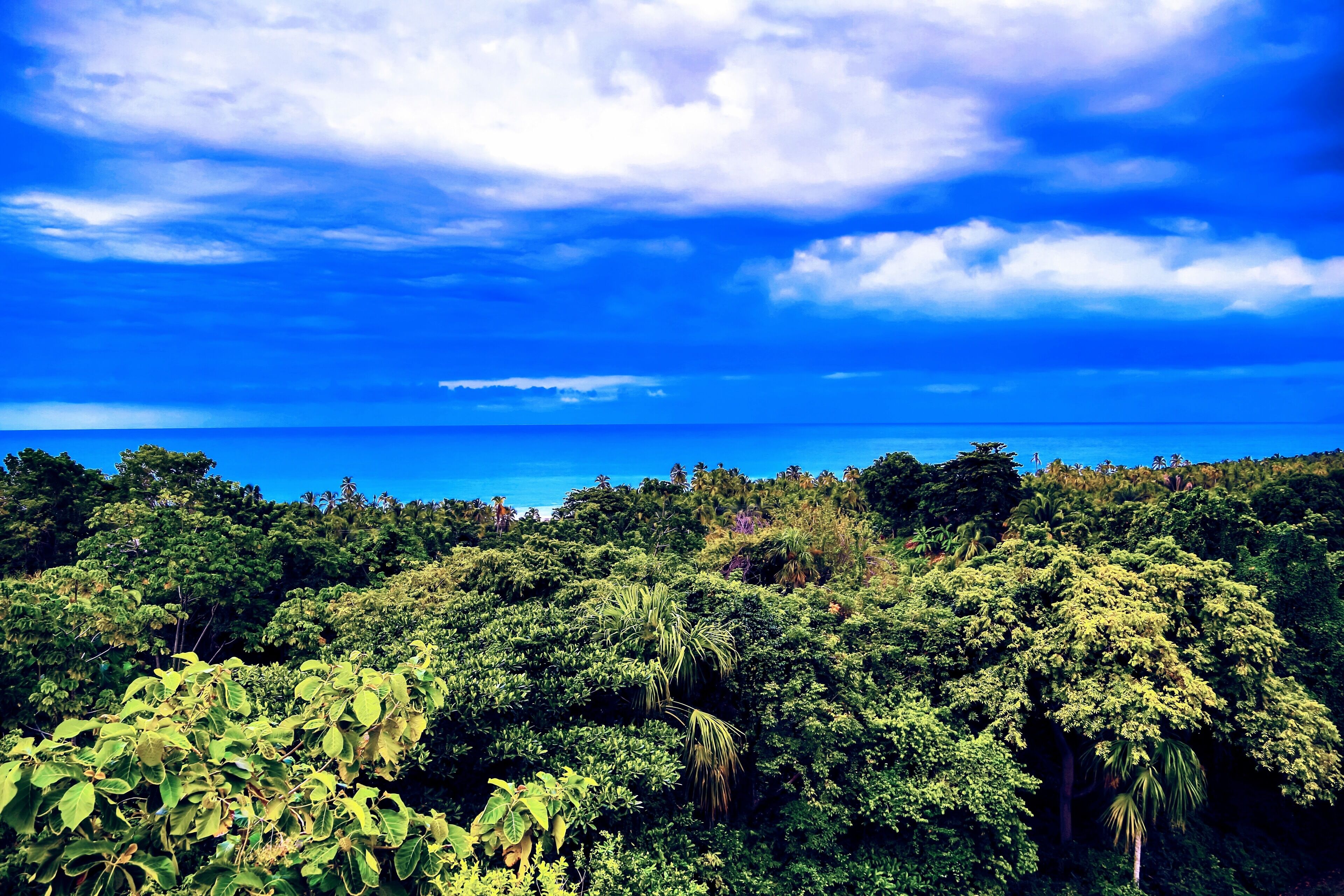 deluxe room | view from room