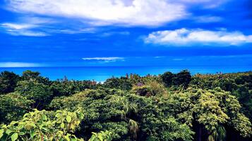 Selva tropical densa con una vista despejada del océano y un cielo parcialmente nublado.