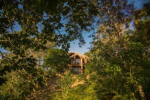 Property grounds - Villa Maria Tayrona, Jungle and Sea Experience (Santa Marta)