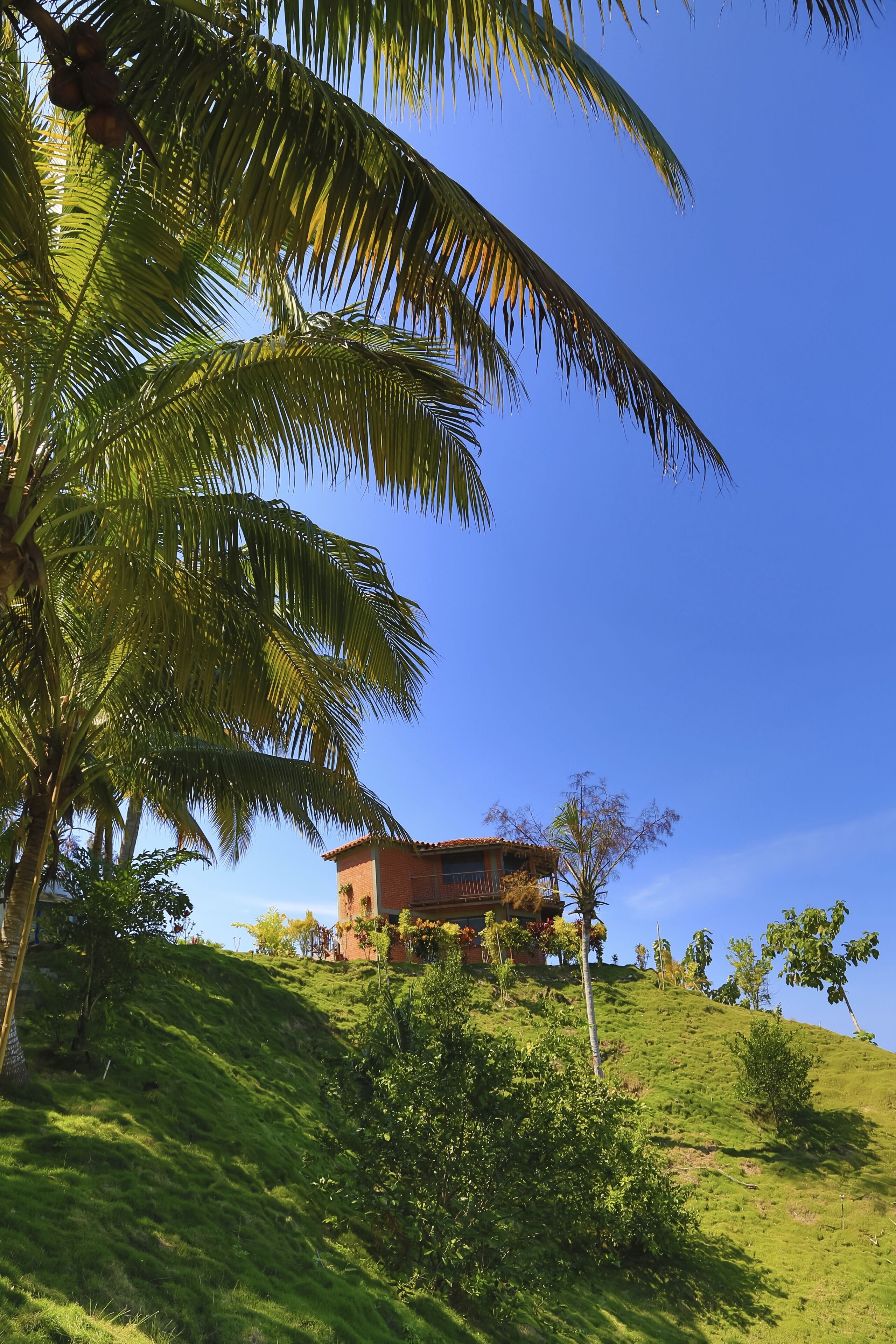 deluxe room | exterior