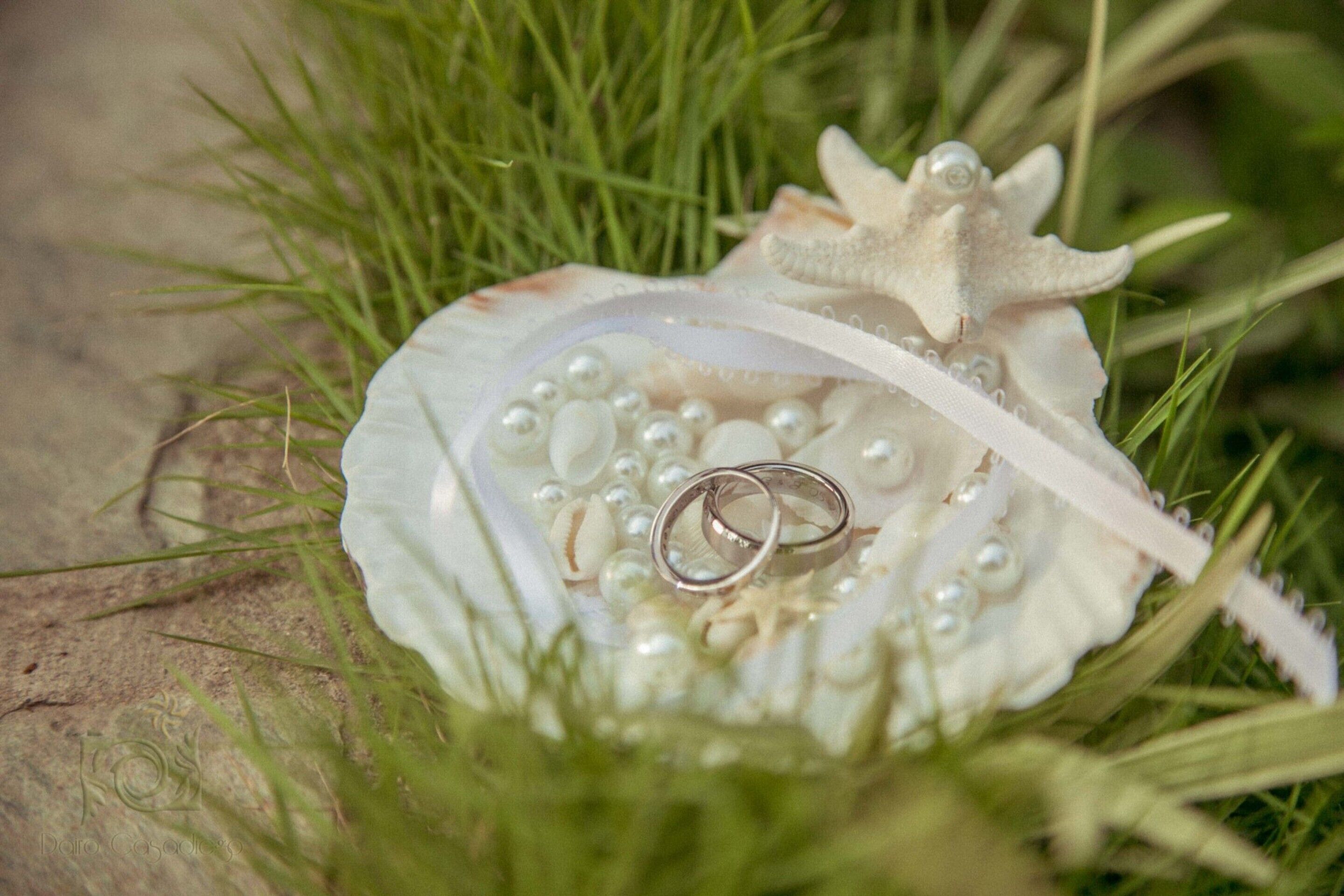 outdoor wedding area