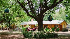 Imagem sem classificação, 5 de 23, botão