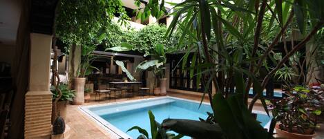 An indoor pool area with a tiled floor, surrounded by potted plants and a seating area with tables and chairs.