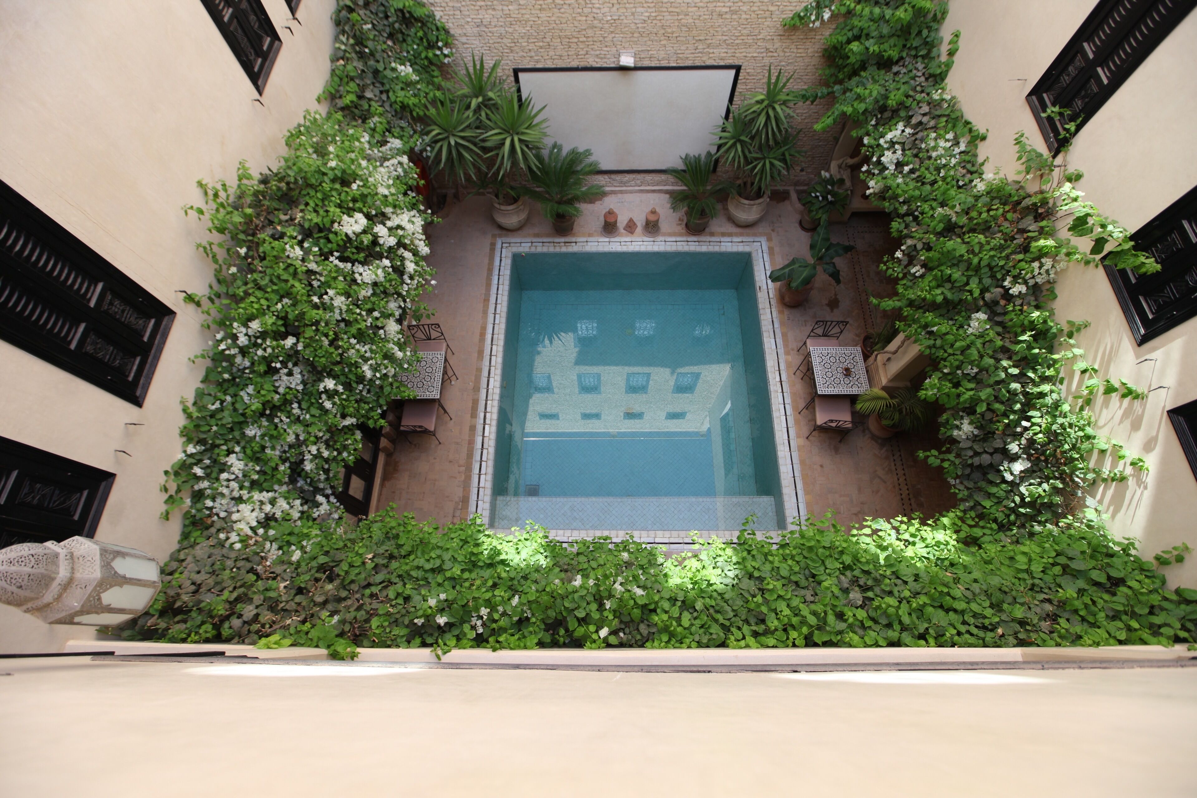 Une piscine entourée d’une végétation luxuriante et de plantes en pot, avec un mur carrelé et des volets noirs.