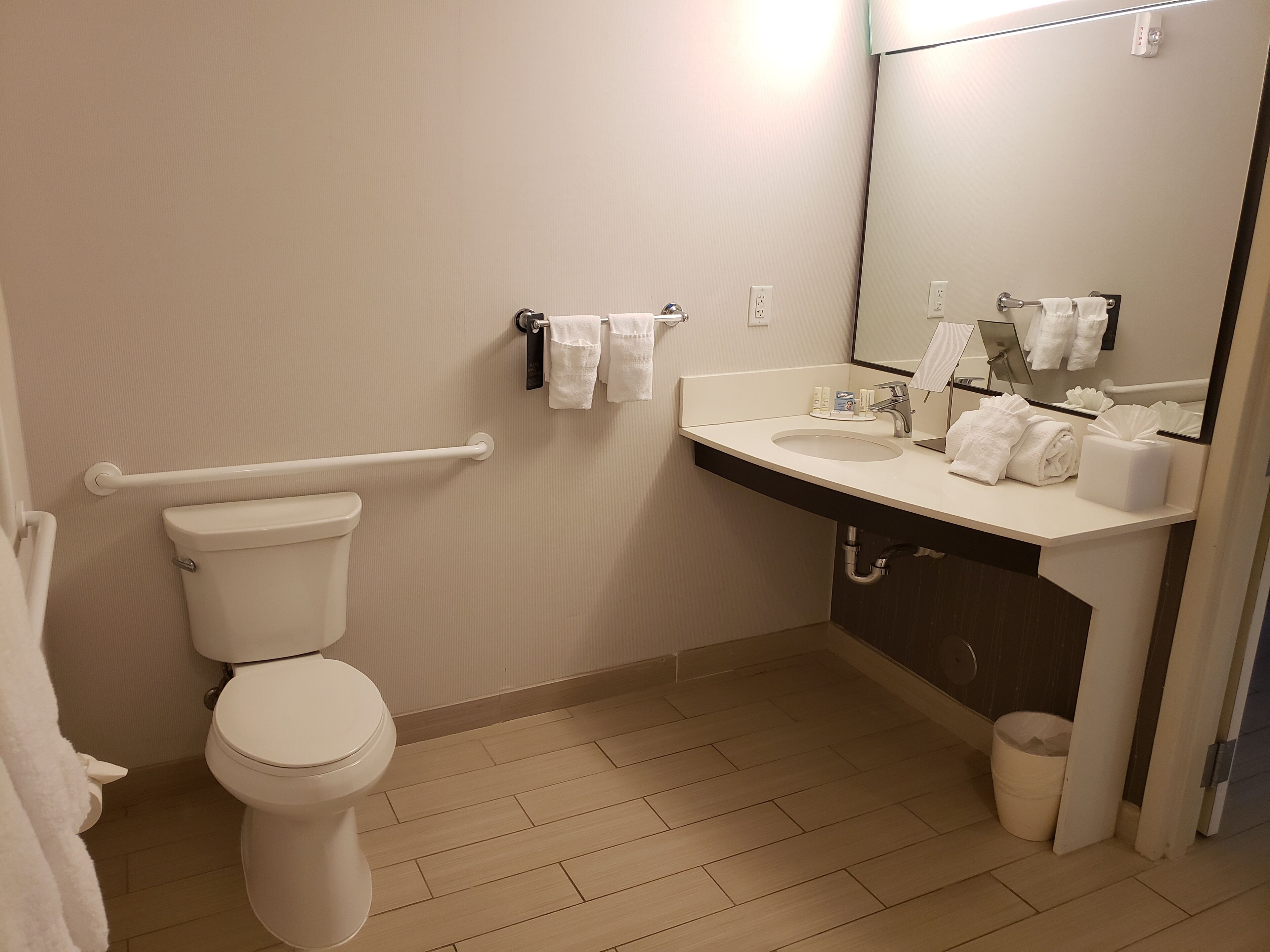 Une salle de bain équipée d’un WC, d’un lavabo, d’un miroir et d’une barre d’appui.