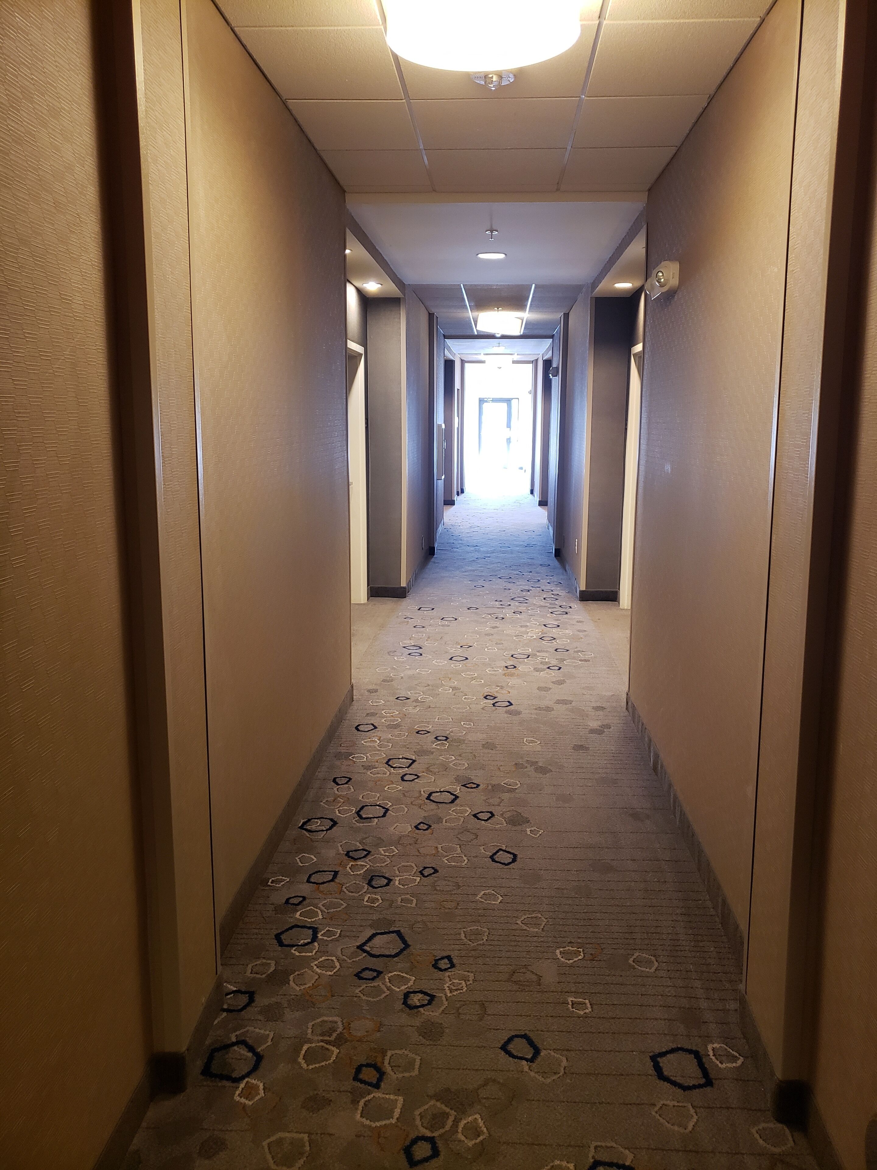 Pasillo de hotel con alfombra estampada, paredes color beige y una lámpara en el techo.
