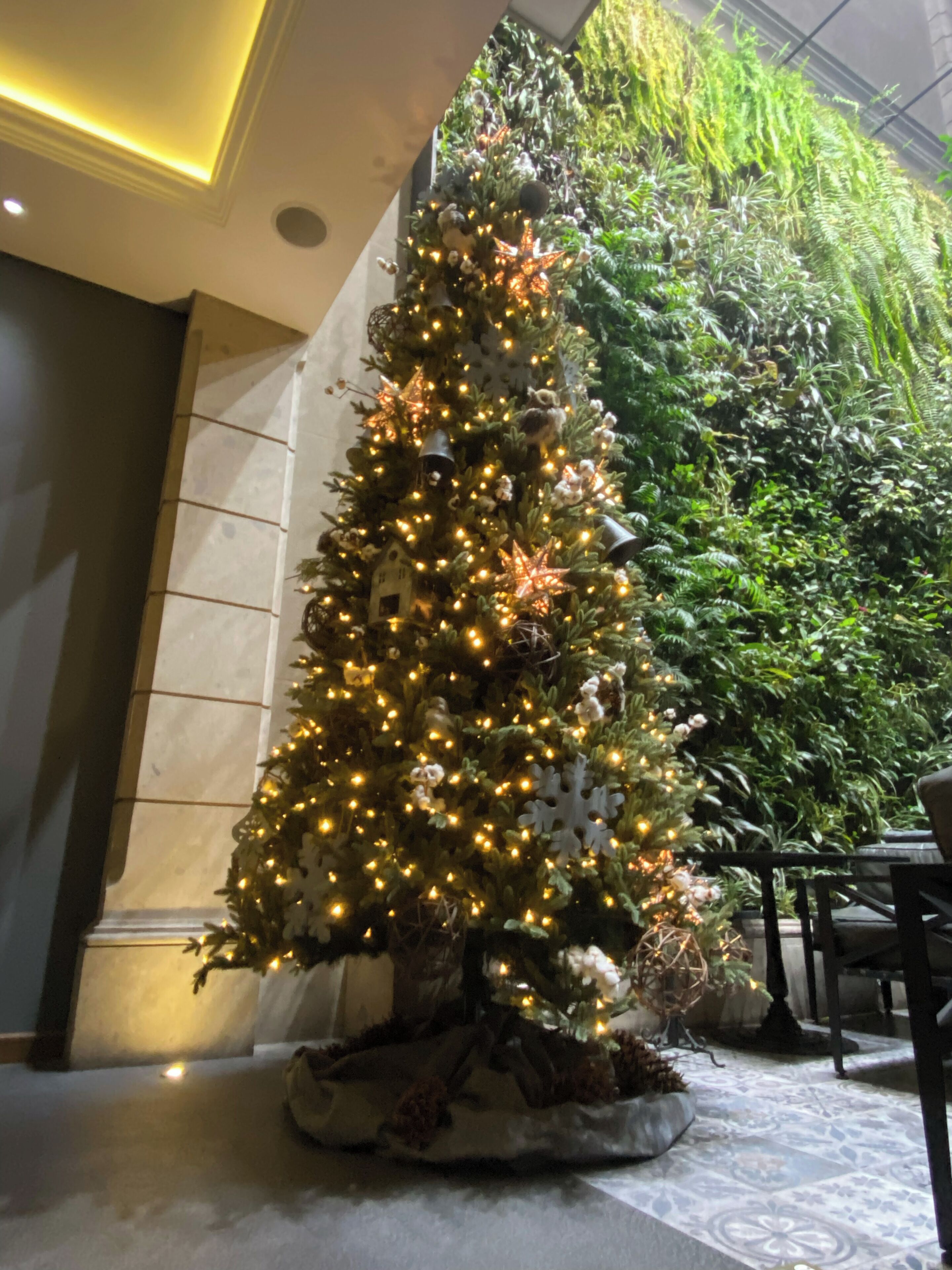 Foto - Historico Central Hotel