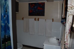Bathroom - Pinon Court Cabins (Buena Vista)