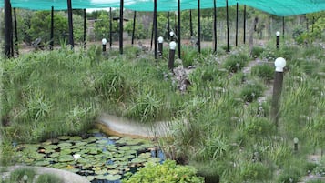 Tuin