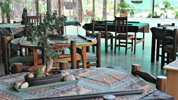 A restaurant with wooden tables and chairs, some with cushions. There are potted plants and a green tablecloth on the tables. - Tshimologo Farm Guest House (Francistown)
