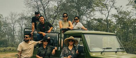 Safari
