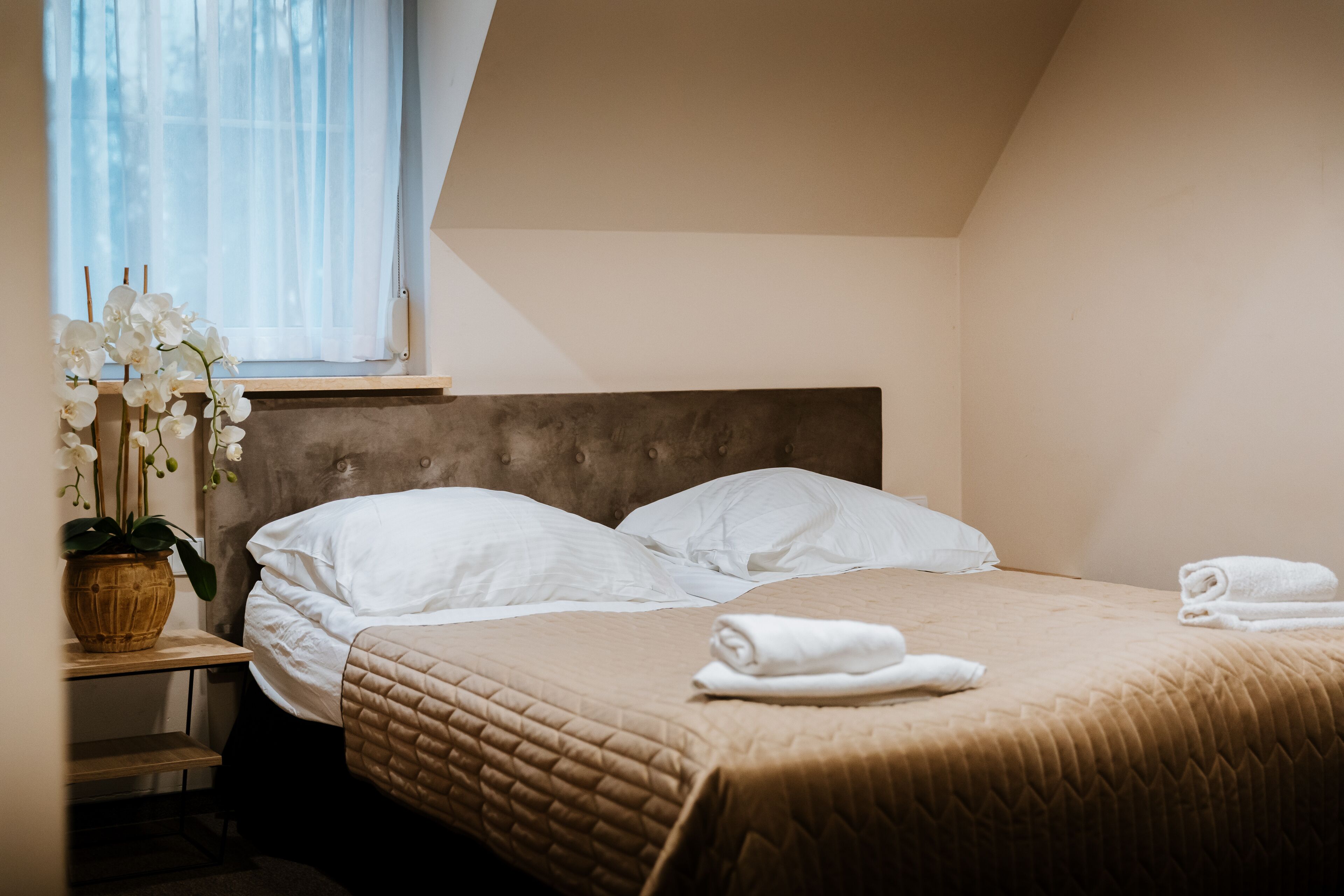 double or twin room | 1 bedroom, desk, laptop workspace, free wifi