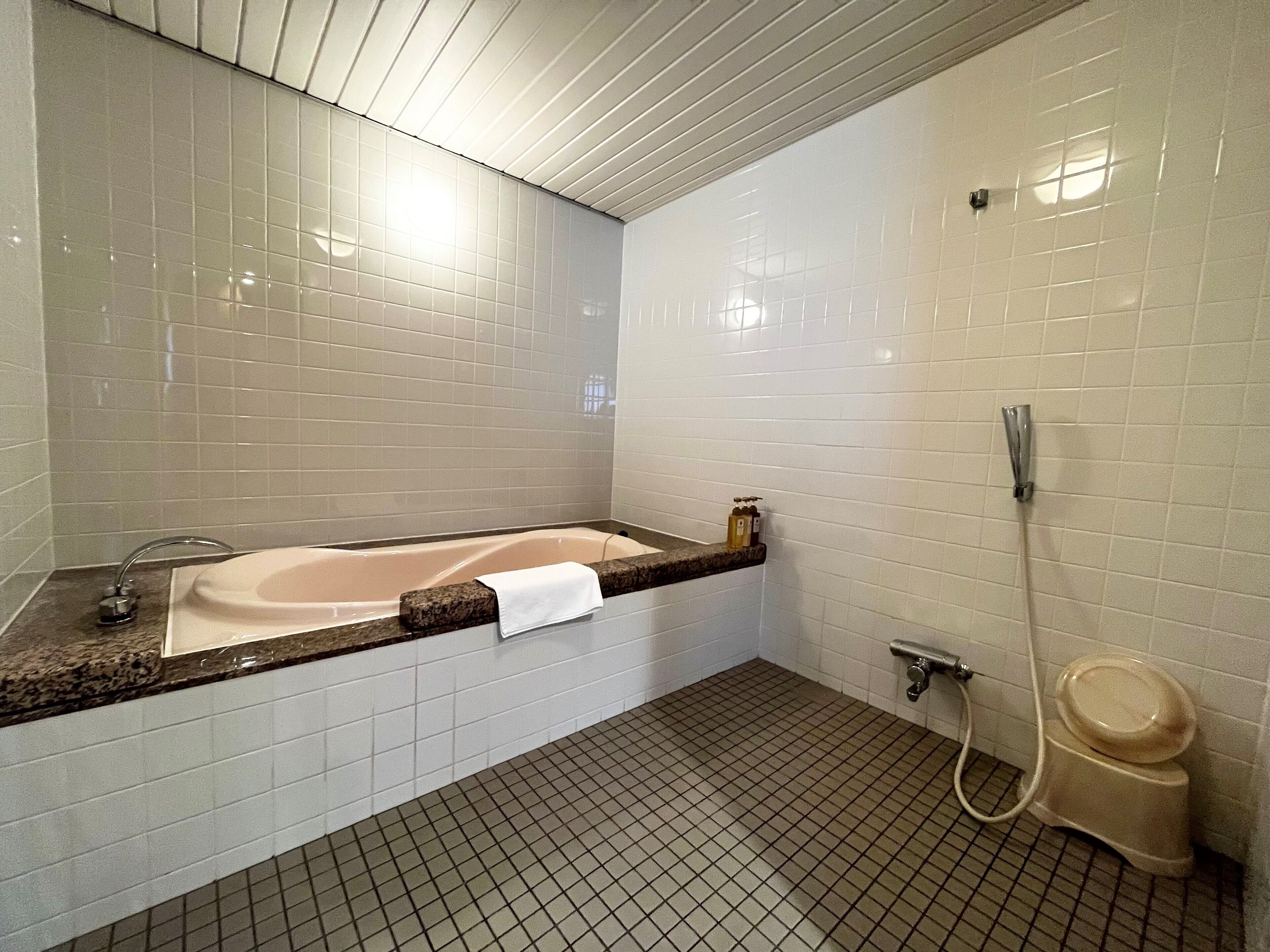 combined shower/bathtub, free toiletries, hair dryer, slippers