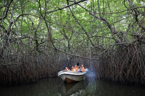 A boat navigating through a mangrove forest. - Aavya Cove Villas By Aahaasa (Balapitiya)