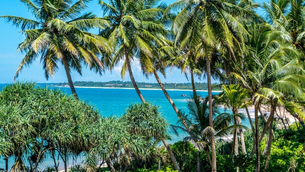 A tropical beach with palm trees and a clear blue sea. - Aavya Cove Villas By Aahaasa (Balapitiya)