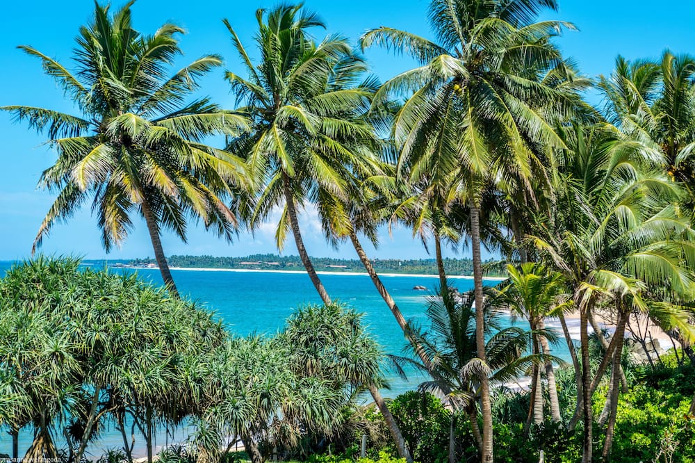 Aavya Cove Villas By Aahaasa