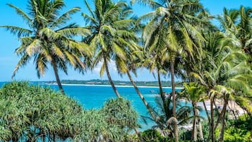 Quang cảnh nhìn từ nơi lưu trú