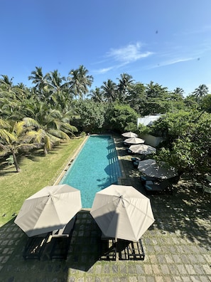 Outdoor pool, sun loungers