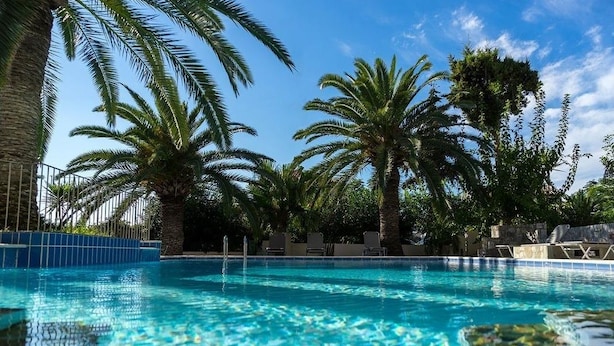 Une piscine entourée de palmiers et de chaises longues.