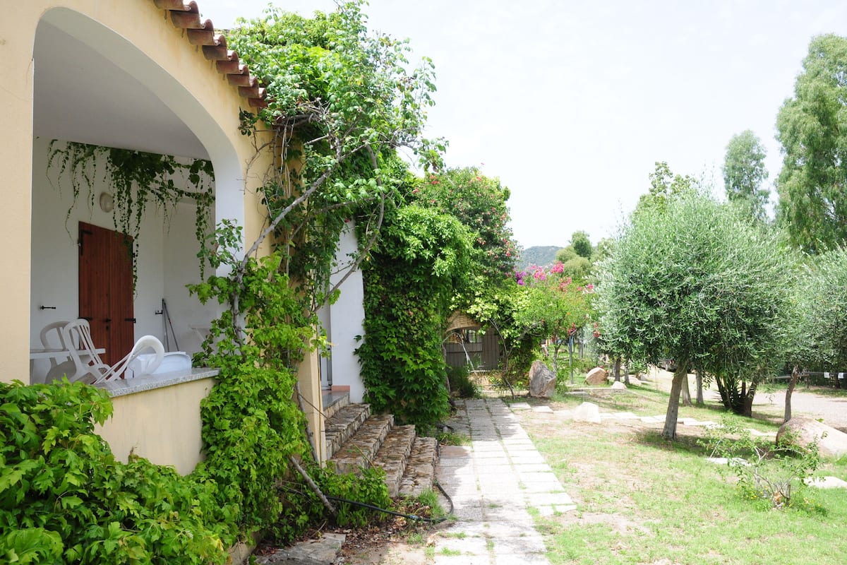 Garden view