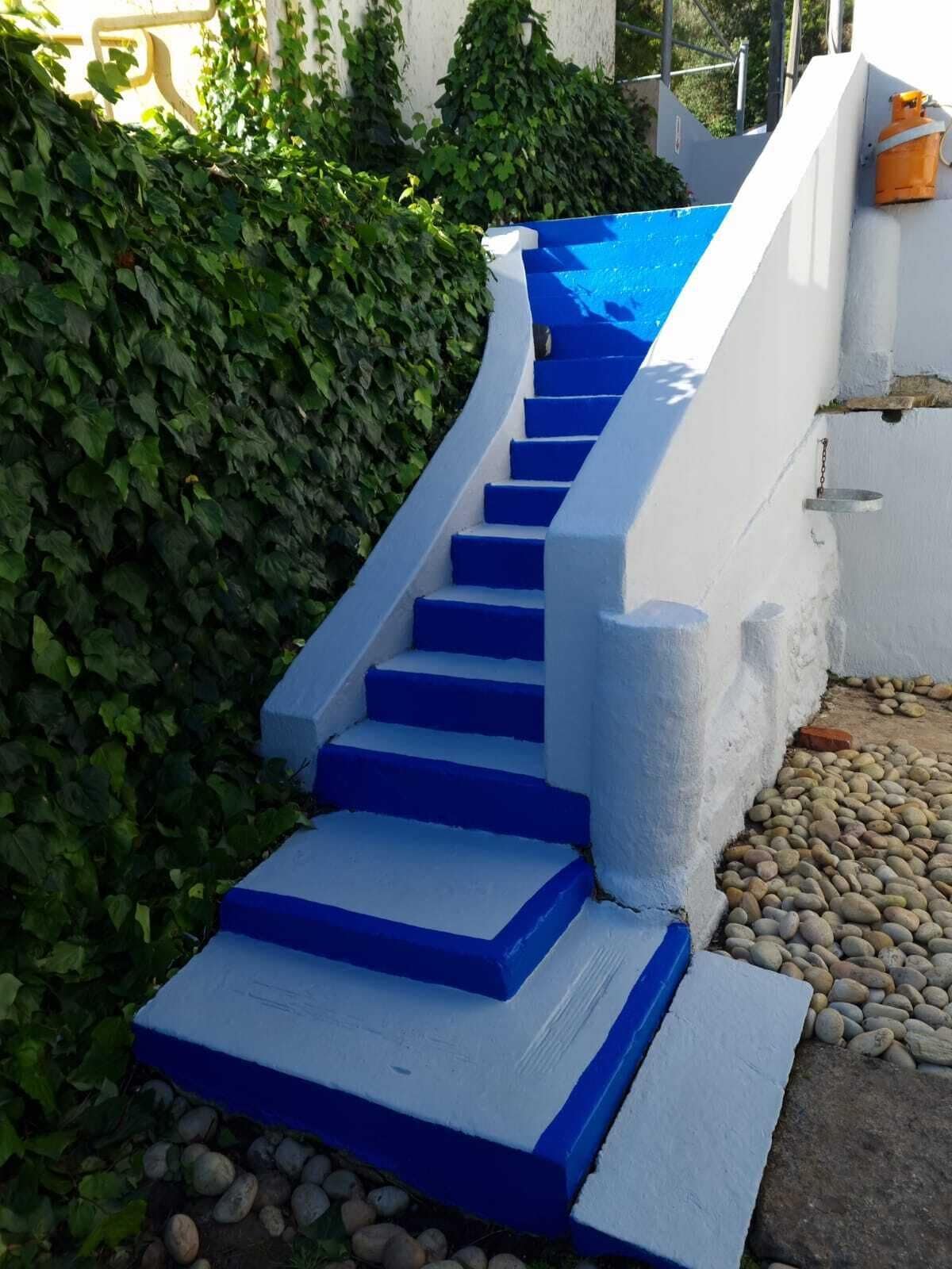 A set of blue-painted stairs leading up to a white wall, surrounded by greenery and pebbles.