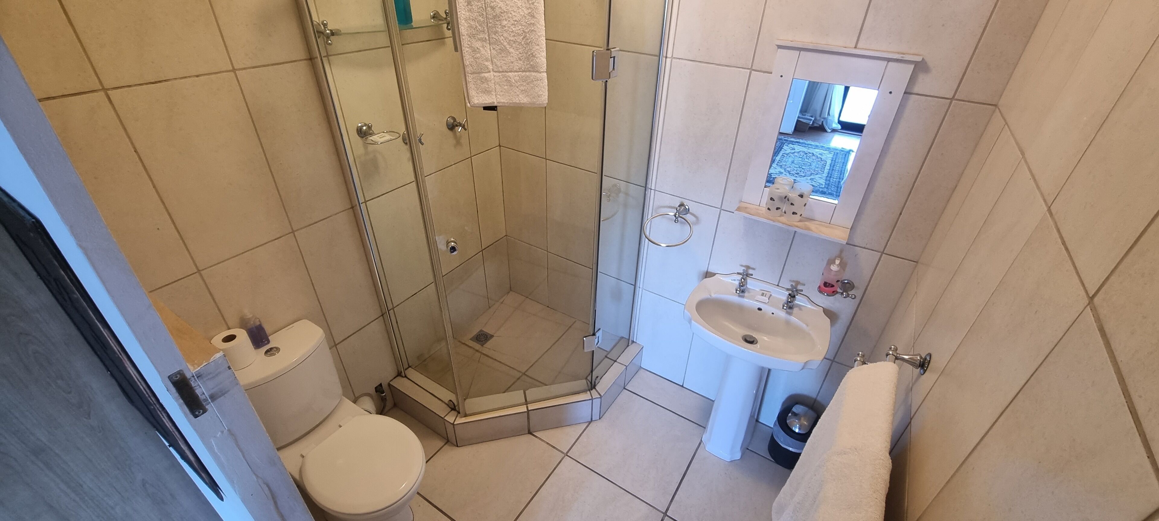 A bathroom with a glass-enclosed shower, a toilet, a sink, and a mirror above the sink.