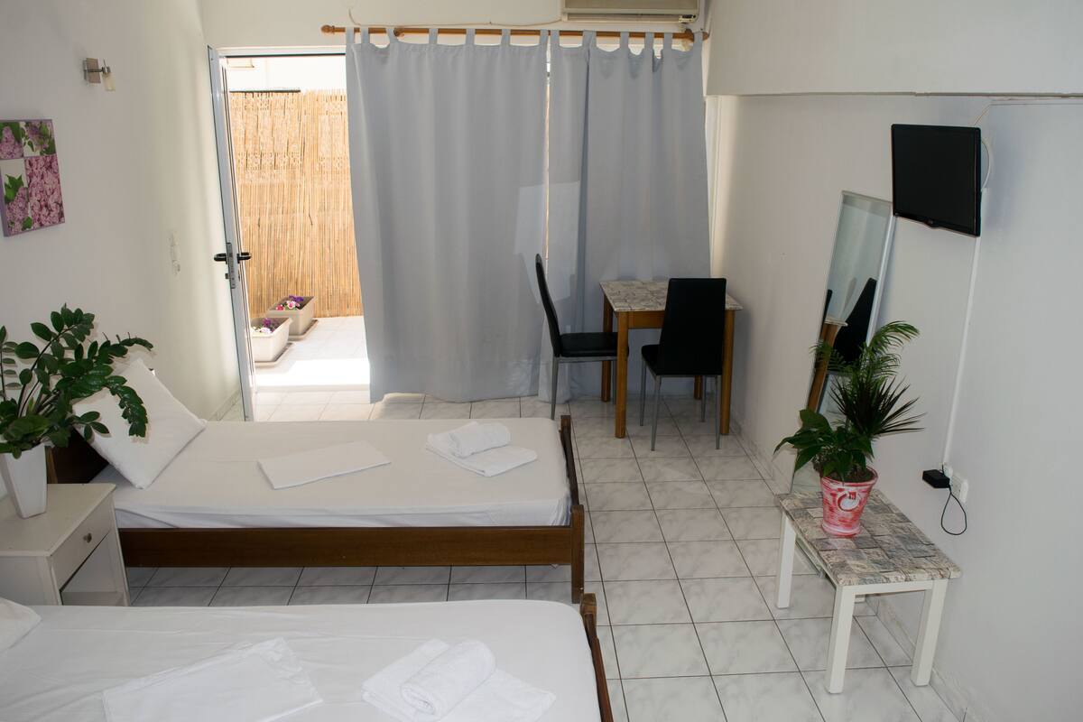 A hotel room with two beds, a desk, a chair, a TV, and a potted plant.