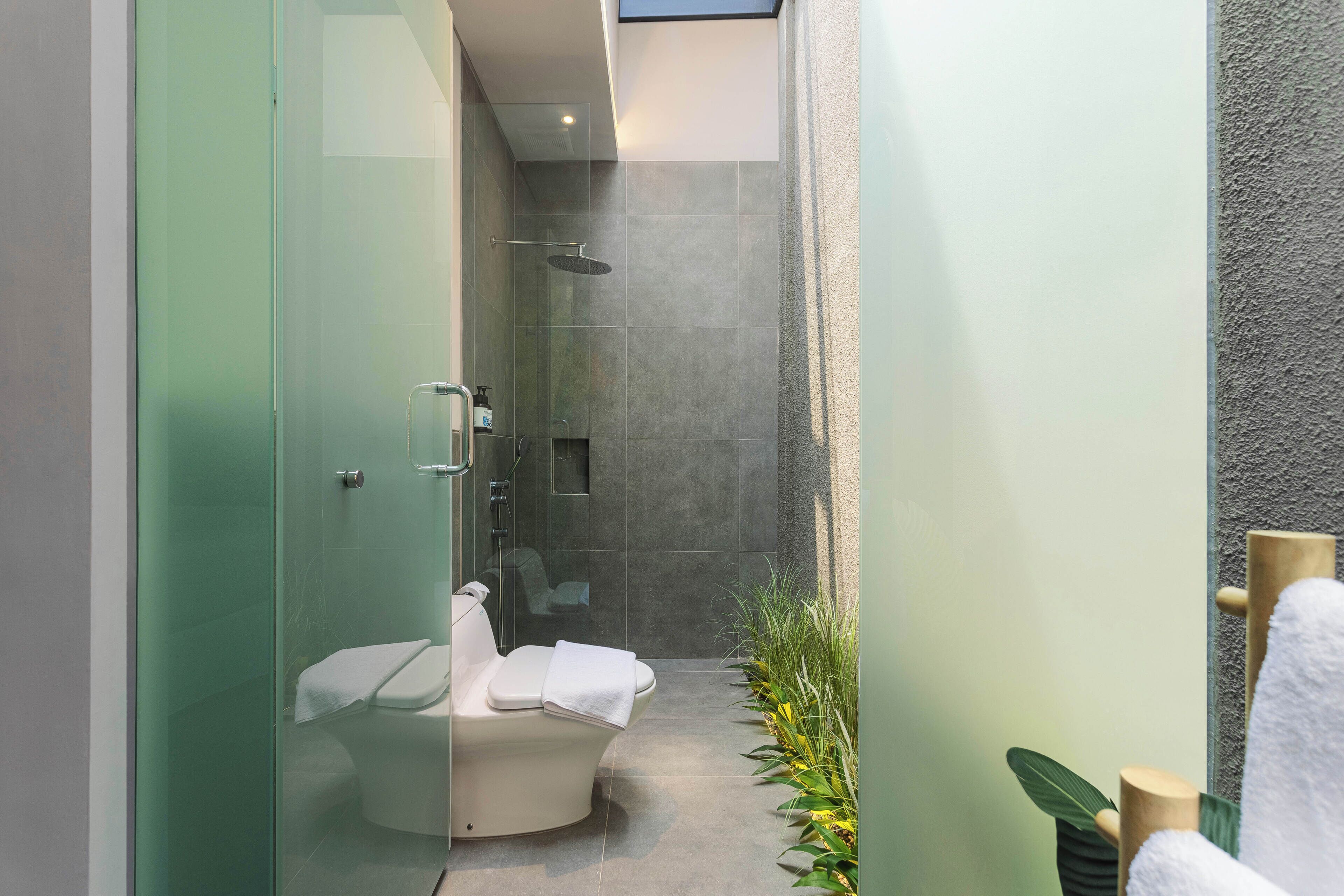 A modern bathroom with a glass-enclosed shower, a toilet, and a small plant.