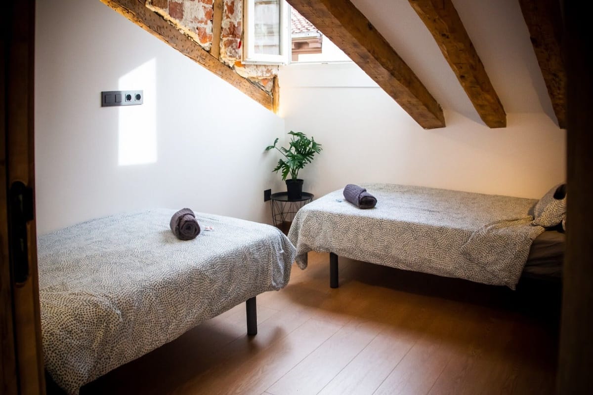 Une petite chambre accueillante, avec deux lits simples, une plante en pot et un plafond mansardé avec des poutres apparentes.