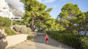 A pathway lined with trees and a building with balconies, leading towards a body of water.