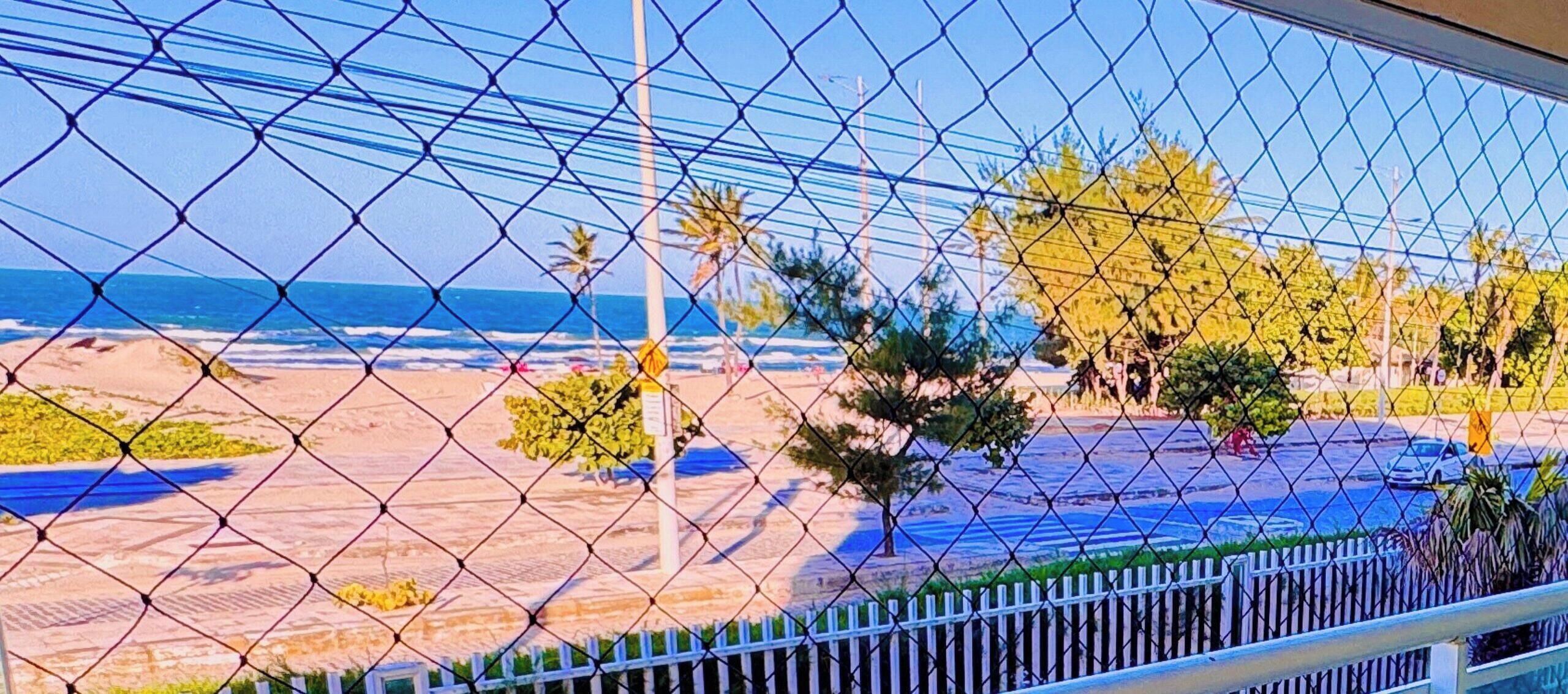 A chain-link fence with a view of a beach and palm trees.