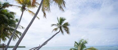 Aire de jeux - extérieure