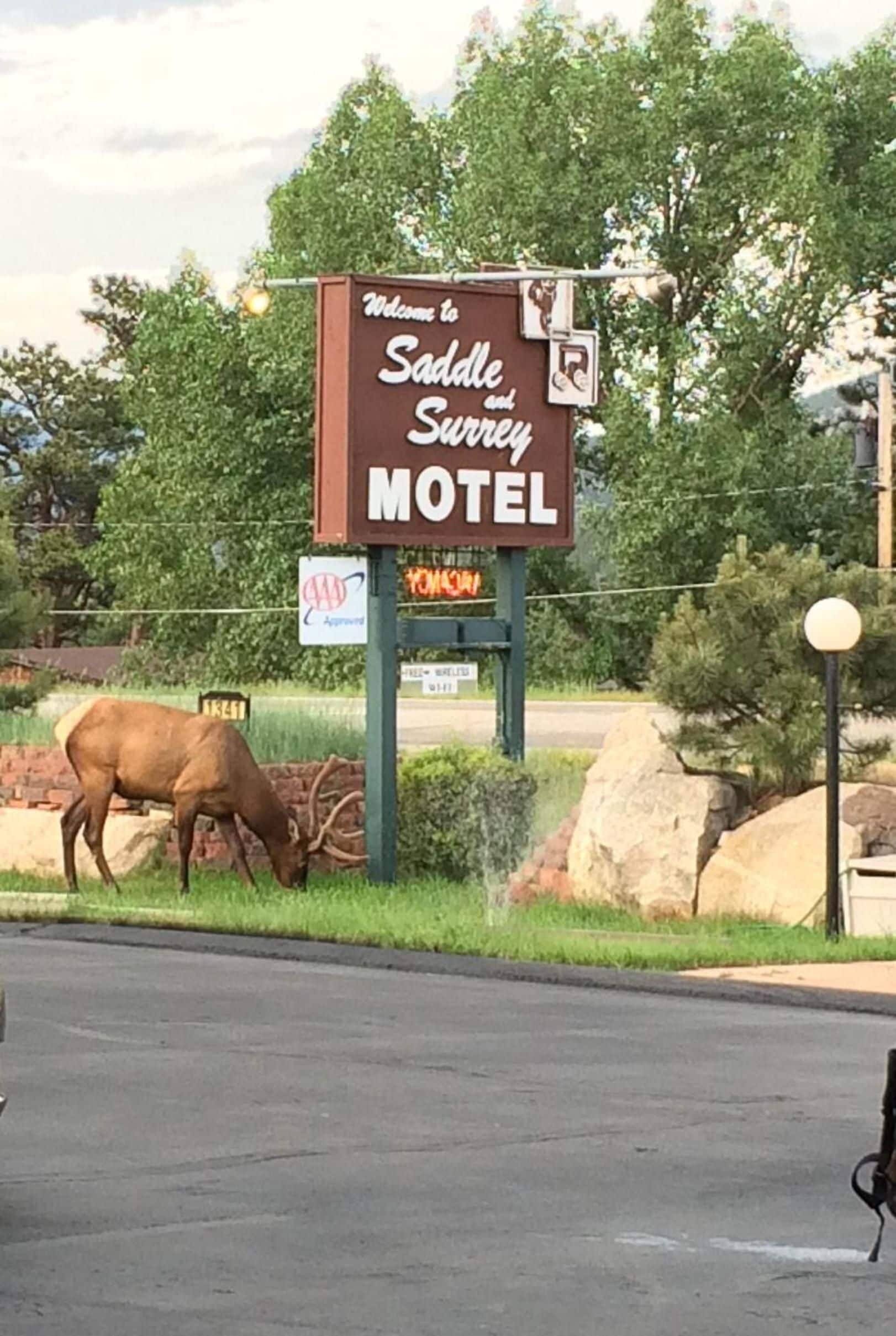 A motel sign with a welcome message, a AAA Approved logo, and a neon sign.