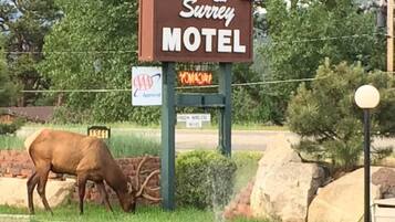 A motel sign with a welcome message, a AAA Approved logo, and a neon sign.