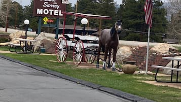 A horse-drawn carriage, a sign for Saddle and Surrey Motel, and an American flag.
