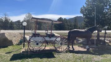 Facciata della struttura