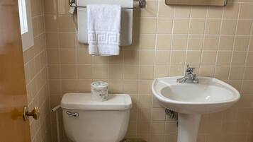 Een badkamer met toilet, wastafel, haardroger en prullenbak.
