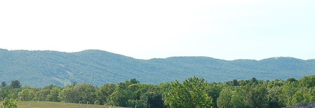 A landscape with rolling hills and a dense forest in the foreground.