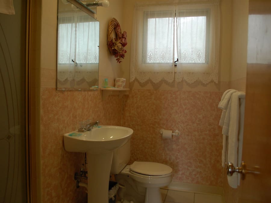 A bathroom with a sink, toilet, and a window with lace curtains.