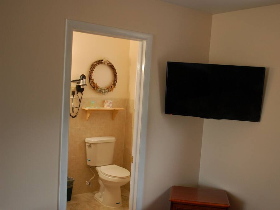 A bathroom with a toilet, a shower, a mounted television, and a window.