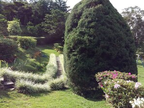 Garden - Cabañas El Parador (Jaramillo)