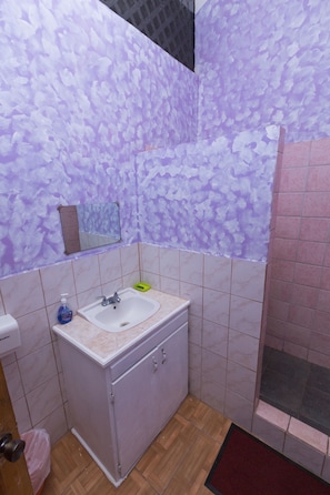 A bathroom with a sink, mirror, and shower area. - Serenity Escape St Lucia (Soufrière)