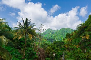 A lush green landscape with palm trees and a mountain in the background. - Serenity Escape St Lucia (Soufrière)
