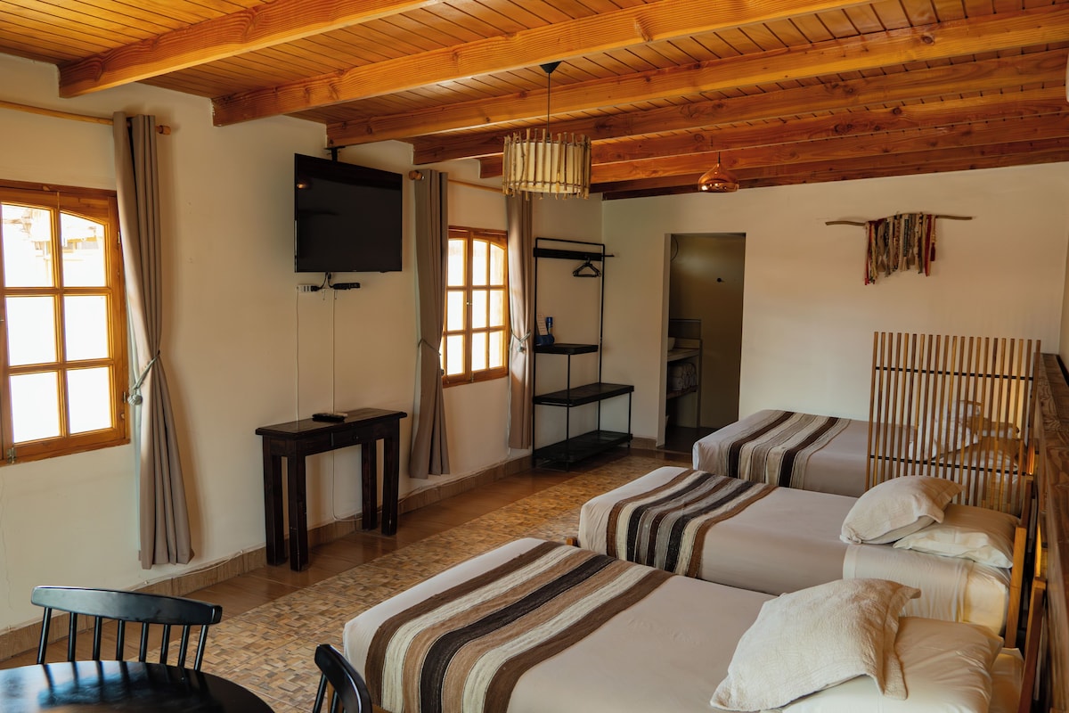 Una habitación con dos camas, televisión, una mesa y una silla.