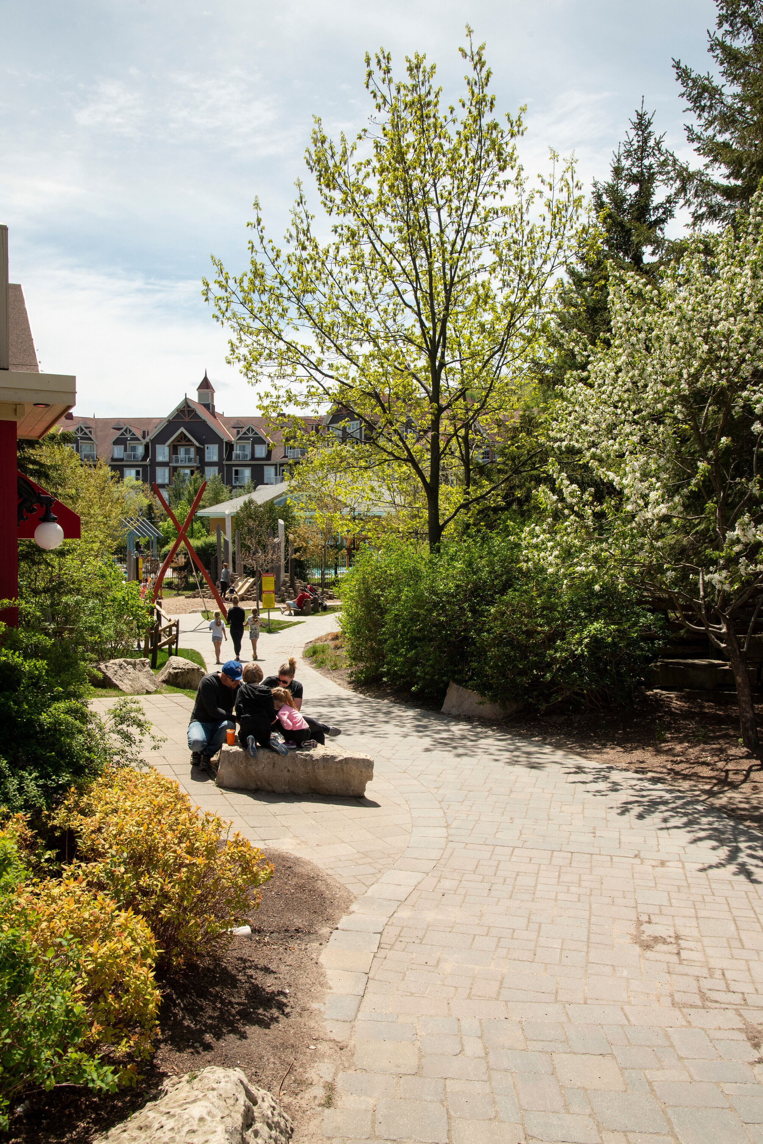 A paved pathway with a stone bench, surrounded by greenery and a building with multiple windows in the background.