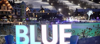 Blue Mountain Resort Village Suites