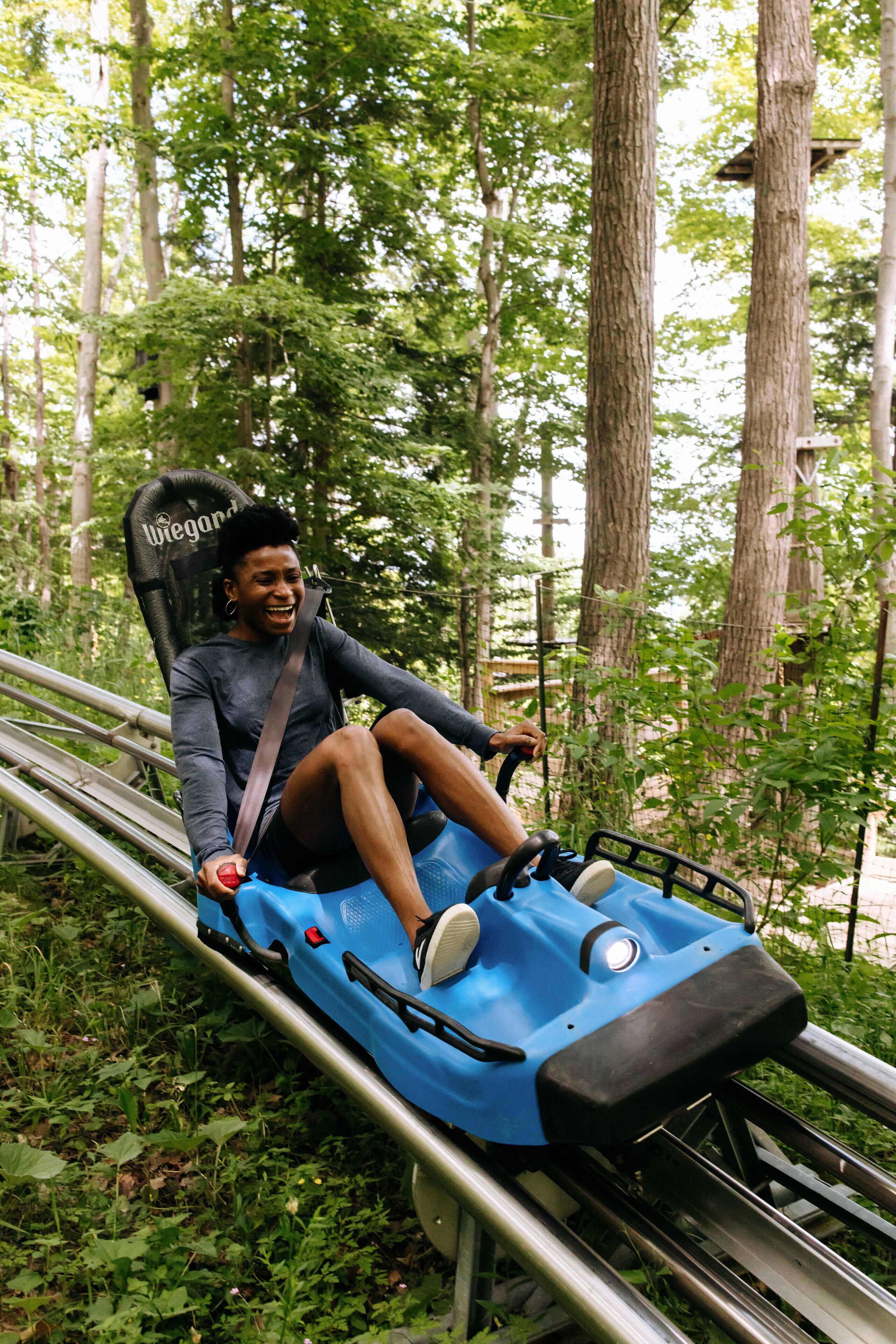 A person seated on a blue, stationary ride in a wooded area.