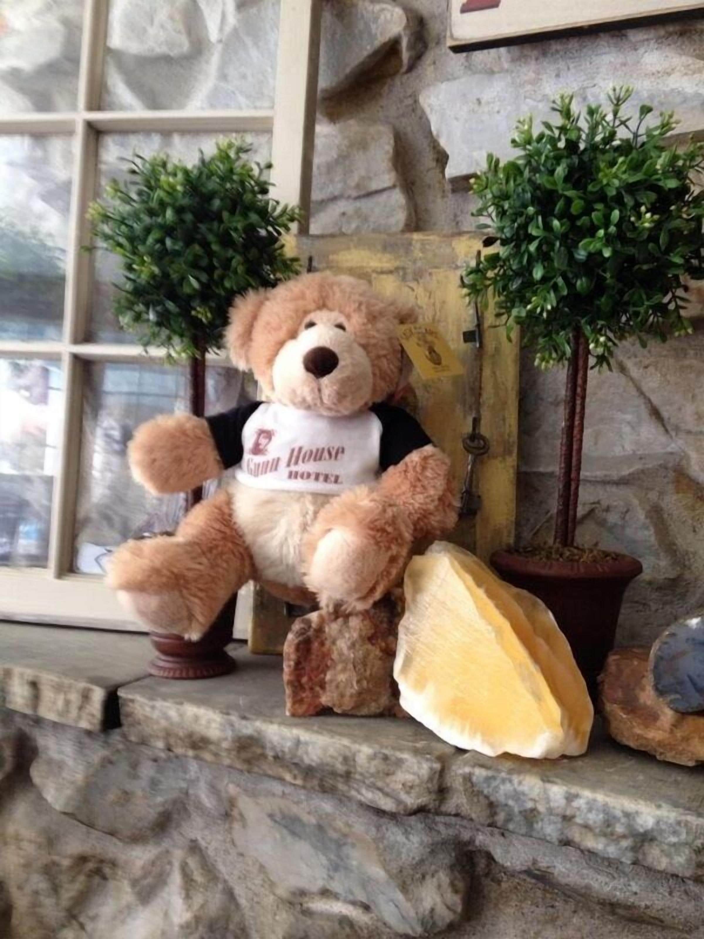 Un osito de peluche con una camiseta que dice 'Hotel' sentado en un borde de piedra con dos macetas.